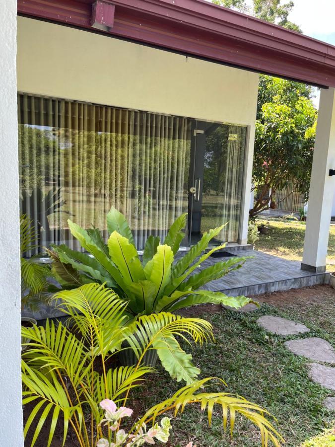 Nature Resort โปลอนนารูวา ภายนอก รูปภาพ
