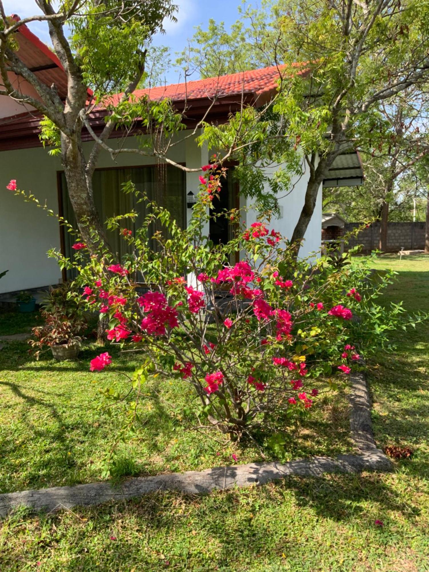 Nature Resort โปลอนนารูวา ภายนอก รูปภาพ
